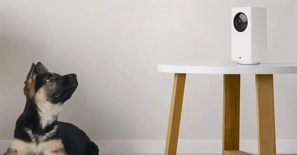 Wyze camera